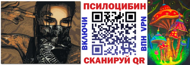 Галлюциногенные грибы мицелий Купить Кунгур